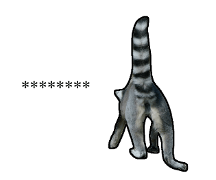 376800220