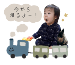 376801131