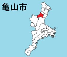 376819982