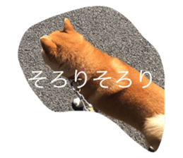 376875429