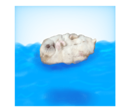 376900766