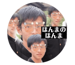 376903003