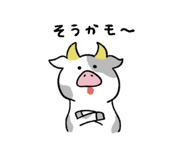 376903702