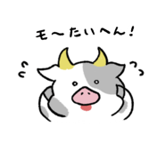 376903710