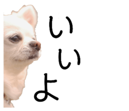 376920019