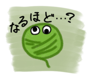 376982447