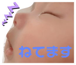 377032042