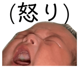 377032062