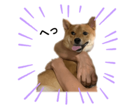 377050126