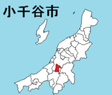 377082835