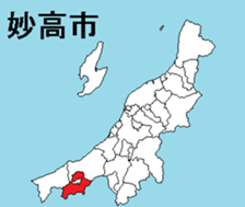 377082842