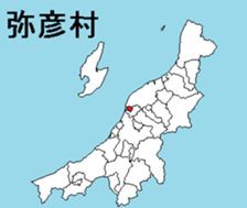 377083435