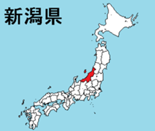 377083445