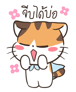 สอยดาวอิสาน (วาเลนไทน์เลิฟสตอรี่) รูปที่ 5