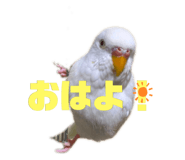 377115751