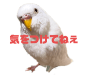 377115752