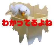 377115758