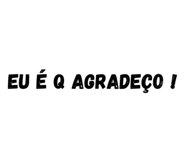 377121517