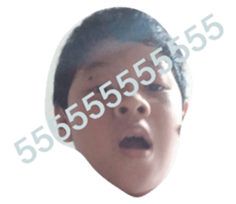 377178521