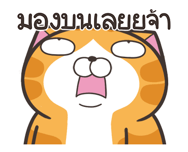 เหมียวซ่า : ท้าให้ลอง รูปที่ 1