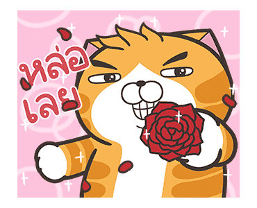 เหมียวซ่า : ท้าให้ลอง รูปที่ 11