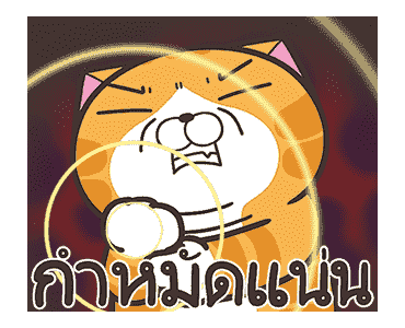 เหมียวซ่า : ท้าให้ลอง รูปที่ 15