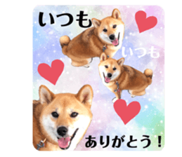 377248992