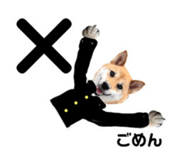 377249020