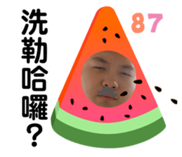 377253619