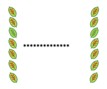377254207