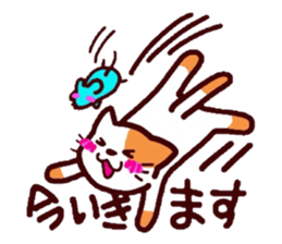 3772609