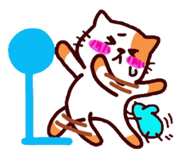 3772620