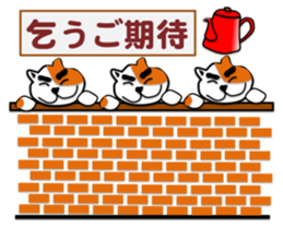 3772766
