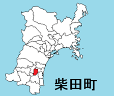 377293168