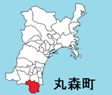 377293170