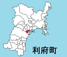 377293175