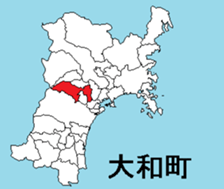 377293176