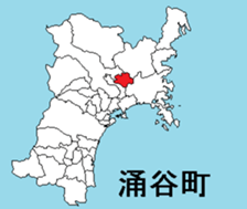377293181