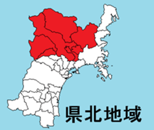 377293185