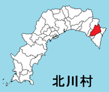 377298805