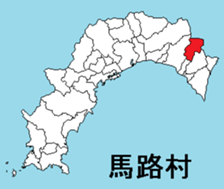 377299046