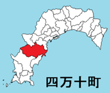 377299060