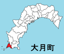 377299061