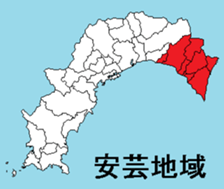 377299064