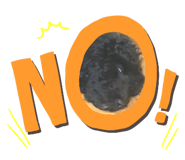 377301977