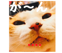 377347854