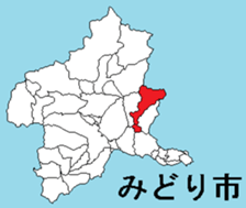 377384361