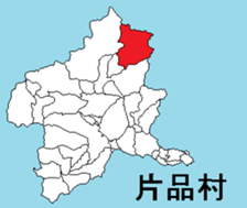 377384951