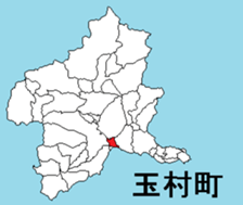 377384955