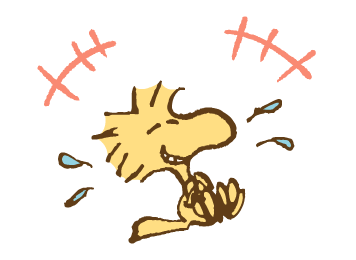 Snoopy & Woodstock วินเทจ รูปที่ 11